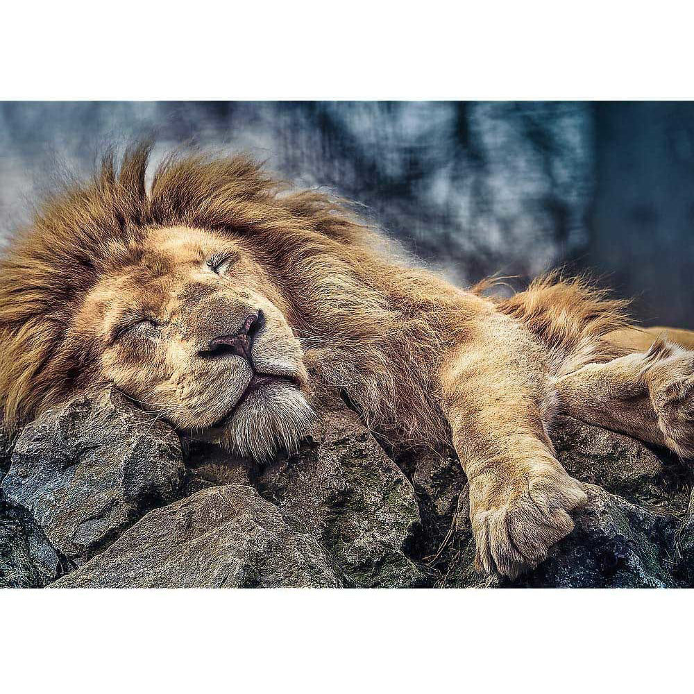 Trefl Puzzle Sleeping Lion 1000Τμχ